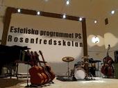 Estetiska programmet musik - Peder Skrivares Skola profile picture