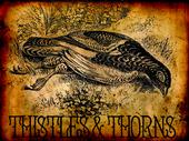 Thistles & Thorns profile picture