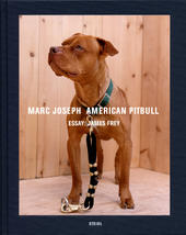 american_pitbull