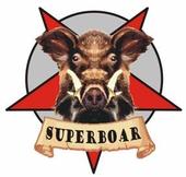 SUPERBOAR profile picture