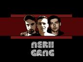 nerii gang profile picture