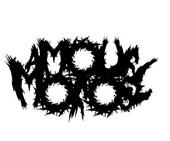 AMOUR MOROSE (former wretched spawn) profile picture