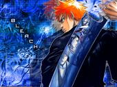 hollowichigo