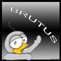 Brutus profile picture