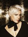 P!NK FAN SPACE profile picture