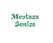 Mostaza Sonica profile picture