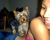 ♥stephanie summer/boomer my poopie i miss u profile picture