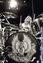 Steven Adler profile picture