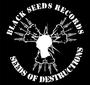 Black Seeds Records(Label & Mailorder) profile picture