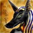 Anubis profile picture