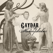 Gaydar & the Homophobes profile picture