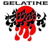 GELATINE profile picture