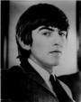 Official Beatle Fan profile picture