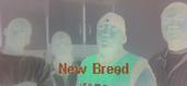 New Breed profile picture