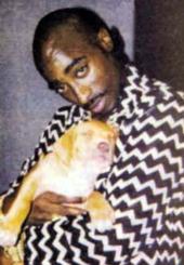 TUPAC SHAKUR profile picture