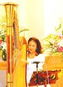 Harpist Erika profile picture