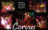 Corvus profile picture