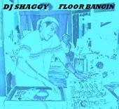 djshaggy73