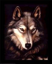 ~ Lonewolf ~ profile picture