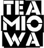 TEAM IOWA profile picture