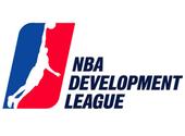 NBA Development League profile picture