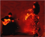 Flamenco Arts Northwest profile picture