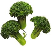 BROCCOLI. profile picture