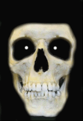 DEATH profile picture