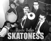 Skatoness profile picture