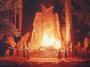 Bohemian Grove™ profile picture