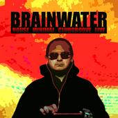 Brainwater - Kemi profile picture