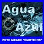 Agua Azul profile picture