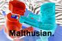 Malthusian. profile picture