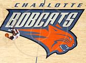 The Charlotte Bobcat Connection profile picture