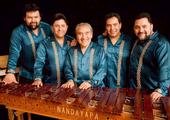 Marimba Nandayapa profile picture