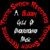 Toxic Shock Records / Toxic Shock LLC profile picture