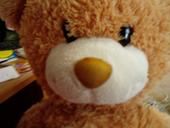 Teddy profile picture