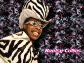 bootsy_collins