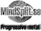 MindSplit profile picture