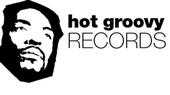 hot groovy records profile picture