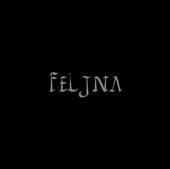 Feljna profile picture