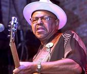 Larry Garner Blues Band profile picture