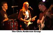 The Chris Anderson Group profile picture