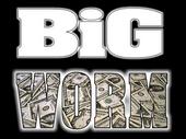 BiG Worm *NEW SITE COMING SOON* profile picture