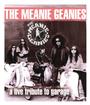 The Meanie Geanies -GUITARIST WANTED- profile picture