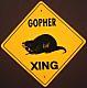 GOPHER (a.k.a. King Bleso) profile picture