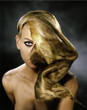 HAIR STYLIST STUDIO le coupe douille profile picture