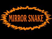 Mirror Snake profile picture