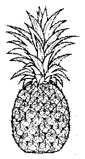 pineapplegrl