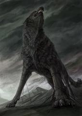 eisenwolf_steel profile picture